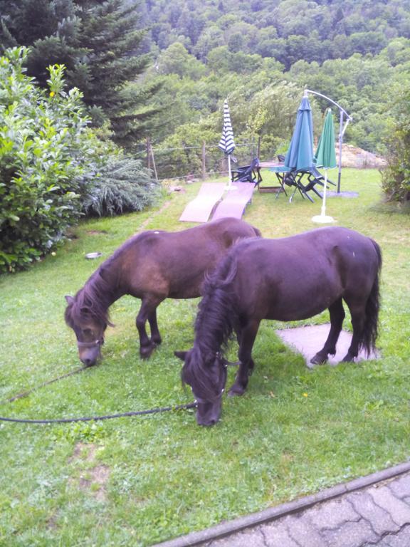 Ferme Auberge A La Colline Ferdrupt Zewnętrze zdjęcie