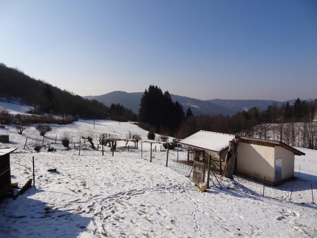 Ferme Auberge A La Colline Ferdrupt Zewnętrze zdjęcie