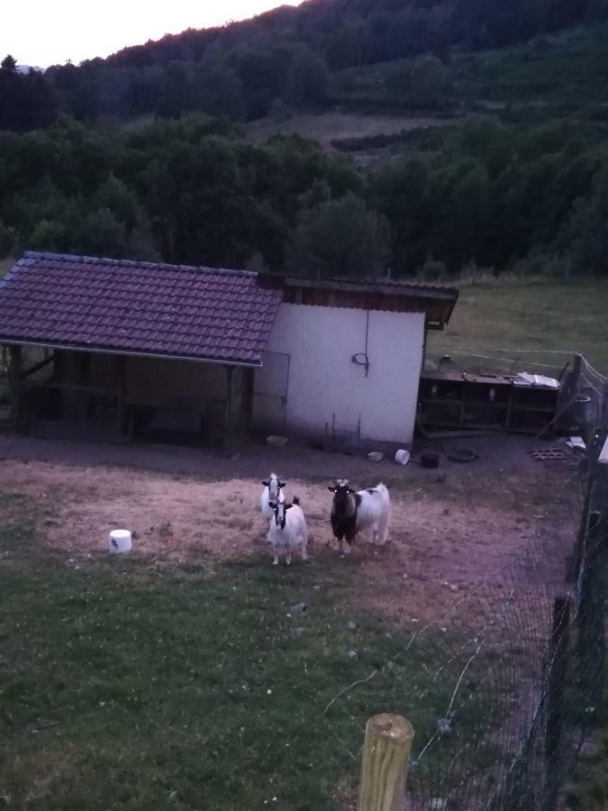 Ferme Auberge A La Colline Ferdrupt Zewnętrze zdjęcie